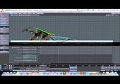 Sample Asset
