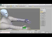 Sample Asset