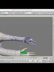 Sample Asset