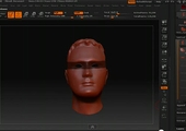 Sample Asset