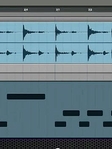Sample Asset